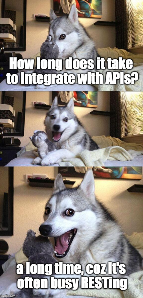 bad pun dog API